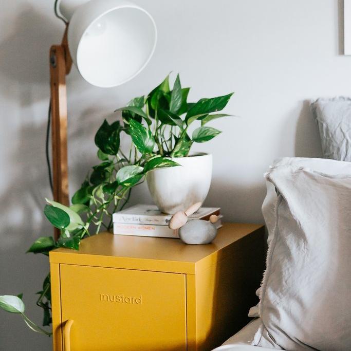 The shorty - Mustard-Mustard-My Ex Boyfriend